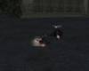 <b>Название: </b>Фотография 10, <b>Добавил:<b> PoveR<br>Размеры: 130x97, 2.7 Кб